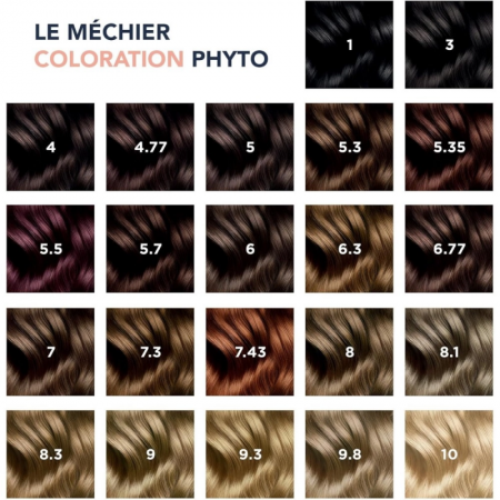 PHYTO COLOR TINTE 1.0 NEGRO