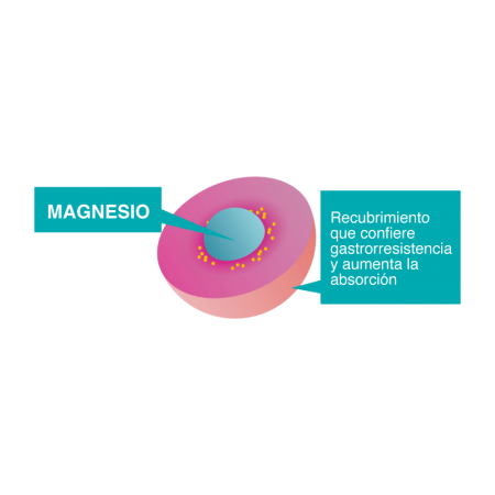 CETILAR ULTRAMAG 20 SOBRES 4 G