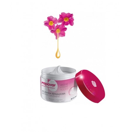 REPAVAR REGENERADORA POMADA REPARADORA 1 TARRO 45 ML