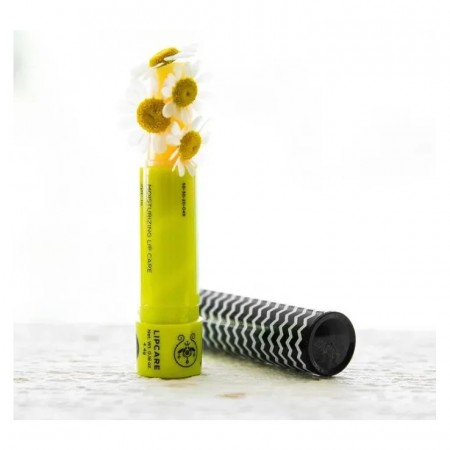 APIVITA LABIAL NATURAL DE CAMOMILA SPF15 4.4G