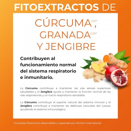 PHYTORELIEF 12 PASTILLAS PARA CHUPAR