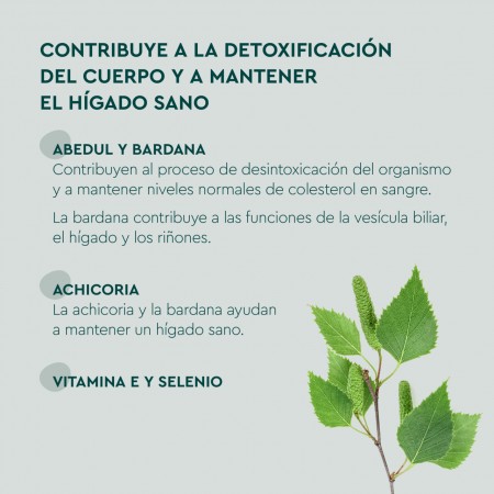 KNEIPP DETOX GUMMIES 60 CARAMELOS DE GOMA SABOR MANZANA LIMON