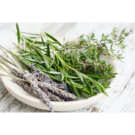 ALVITA ALCOHOL DE ROMERO 1 ENVASE 250 ML