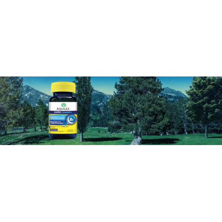 AQUILEA SUEÑO GUMMIES+ 60 GOMINOLAS