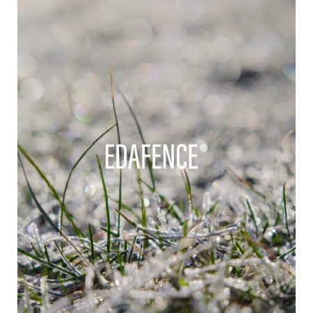 ENDOCARE AGE BARRIER HYALUBOOST CONTORNO DE OJOS 15 ML