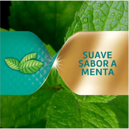 COREGA ADHESIVO SABOR MENTA MAX FIJACION + SELLADO 40 G