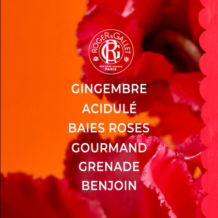 ROGER & GALLET GINGEMBRE ROUGE PERFUME SOLIDO 5G
