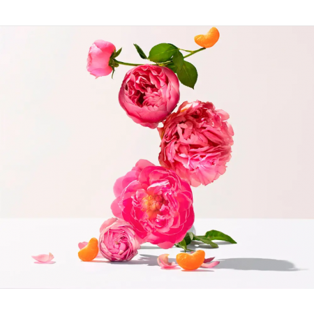 ROGER & GALLET AGUA PERFUMADA DE BIENESTAR ROSE 100 ML