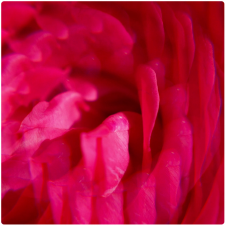 ROGER & GALLET AGUA PERFUMADA DE BIENESTAR GINGEMBRE ROUGE 100 ML