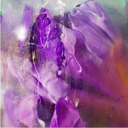 ROGER & GALLET AGUA PERFUMADA DE BIENESTAR FEUILLE DE THE 100 ML