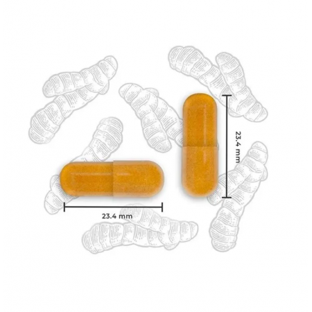 NUTRALIE TURMERIC CURCUMA COMPLEX 120 CAPSULAS