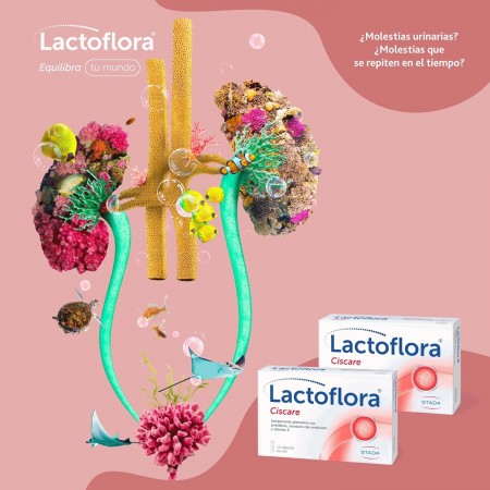 LACTOFLORA CISCARE 30 CAPSULAS