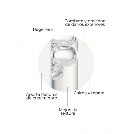 SEGLE COFRE ANTIAGING PIEL SENSIBLE: SERUM SKIN FACTOR 30ML + GEL CREMA SKIN FACTOR BARRIER 30ML