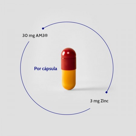 INMUNOFERON 90 CAPSULAS