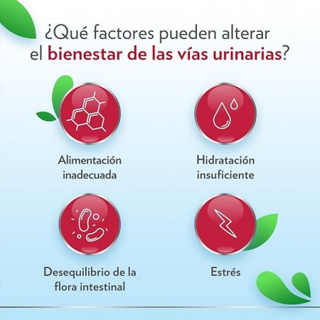 GINECANES CYSTIL CONFORT VIAS URINARIAS 14 SOBRES
