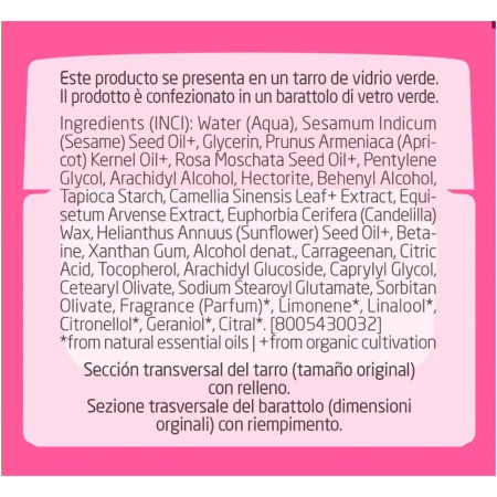 WELEDA CREMA DE DIA ALISANTE ROSA MOSQUETA Y TE BLANCO 40 ML
