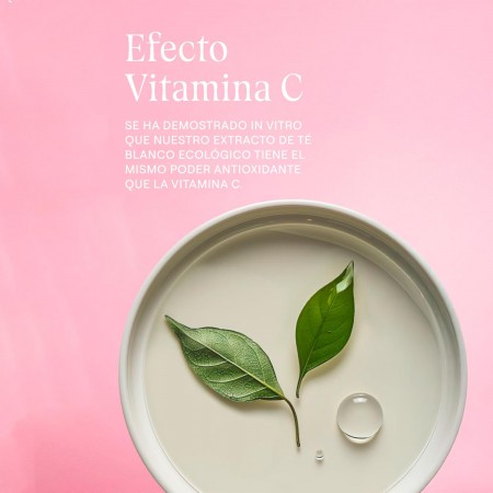 WELEDA CREMA DE DIA ALISANTE ROSA MOSQUETA Y TE BLANCO 40 ML