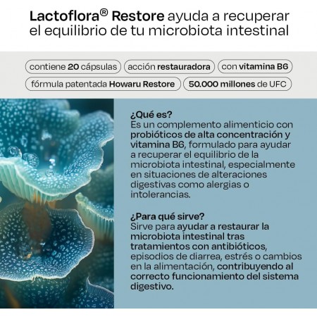 LACTOFLORA RESTORE 20 CAPSULAS