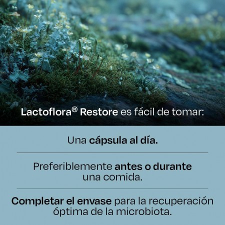 LACTOFLORA RESTORE 20 CAPSULAS