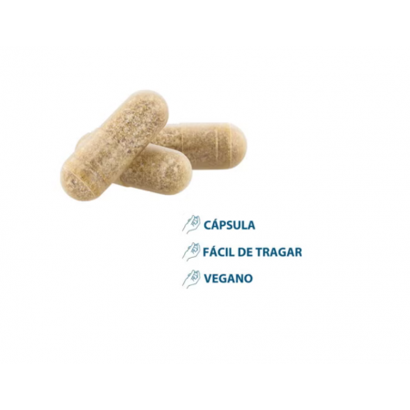 DUCRAY ANACAPS EXPERT ANTICAIDA 30 CAPSULAS