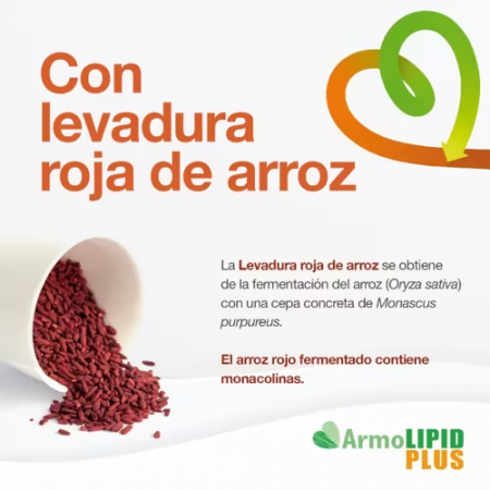 ARMOLIPID PLUS PACK PROMOCIONAL 30 COMPRIMIDOS + 30 COMPRIMIDOS