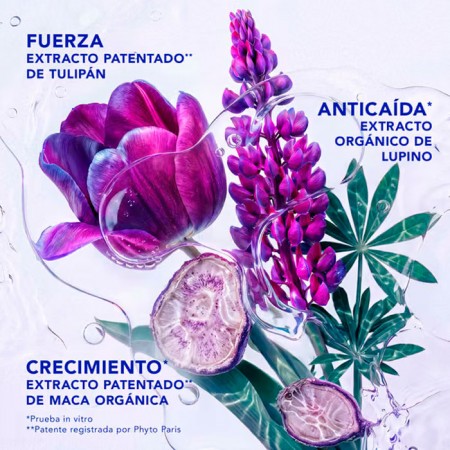 PHYTO PHYTOCYANE INTENSIVE+ TRATAMIENTO ANTICAIDA PROGRESIVA MUJER 12 AMPOLLAS 5 ML (2 MESES)